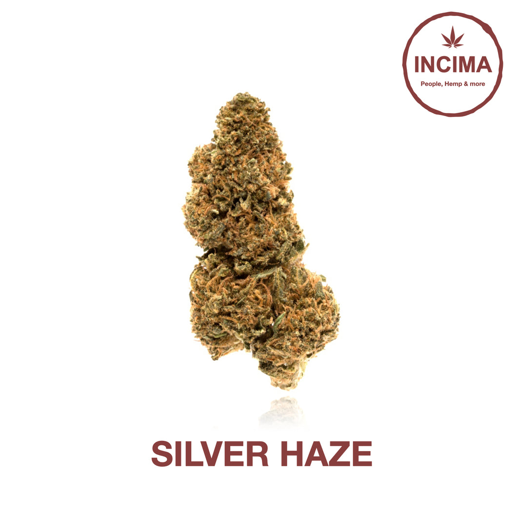 Silver Haze - CBD