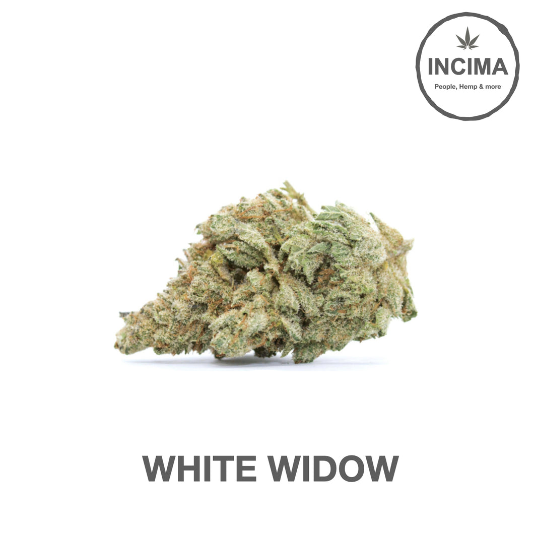 White Widow- CBD