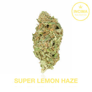 Super Lemon Haze - CBD